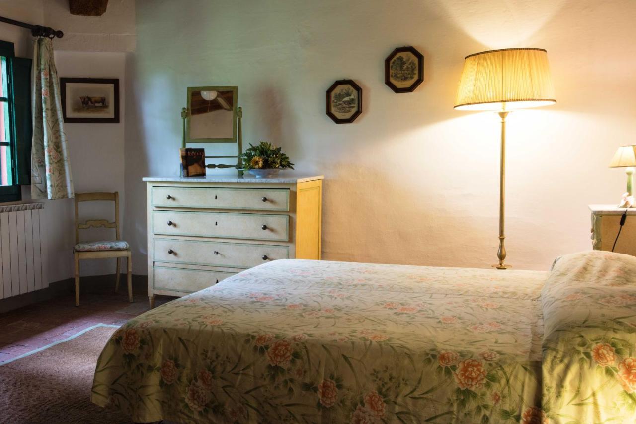 Tenuta Di Ghizzano Resort Zewnętrze zdjęcie