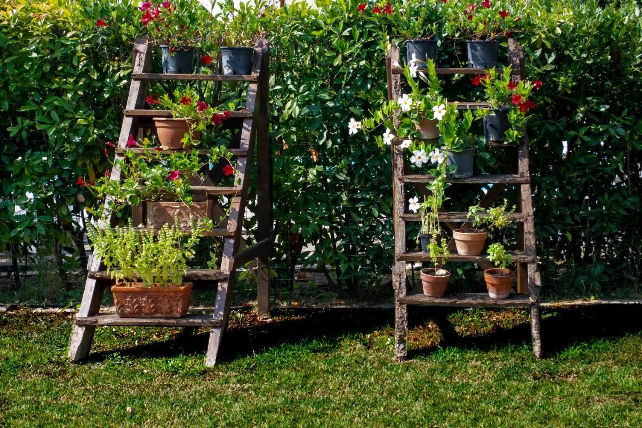 Tenuta Di Ghizzano Resort Zewnętrze zdjęcie