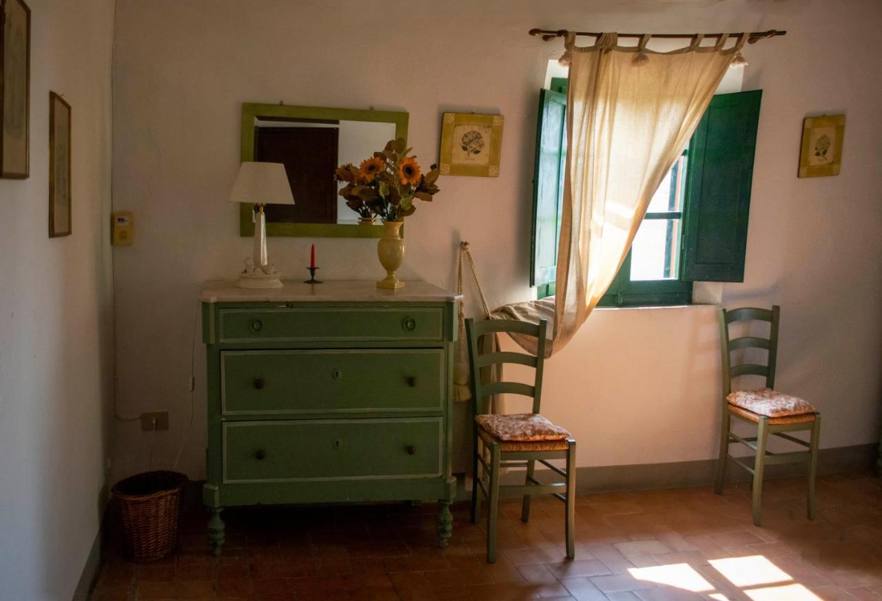 Tenuta Di Ghizzano Resort Zewnętrze zdjęcie