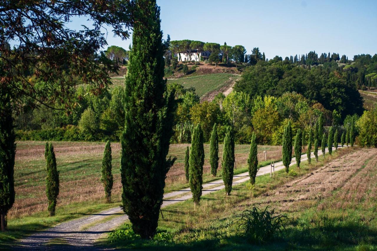 Tenuta Di Ghizzano Resort Zewnętrze zdjęcie