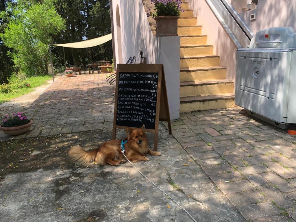 Tenuta Di Ghizzano Resort Zewnętrze zdjęcie