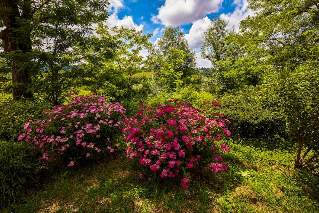 Tenuta Di Ghizzano Resort Zewnętrze zdjęcie