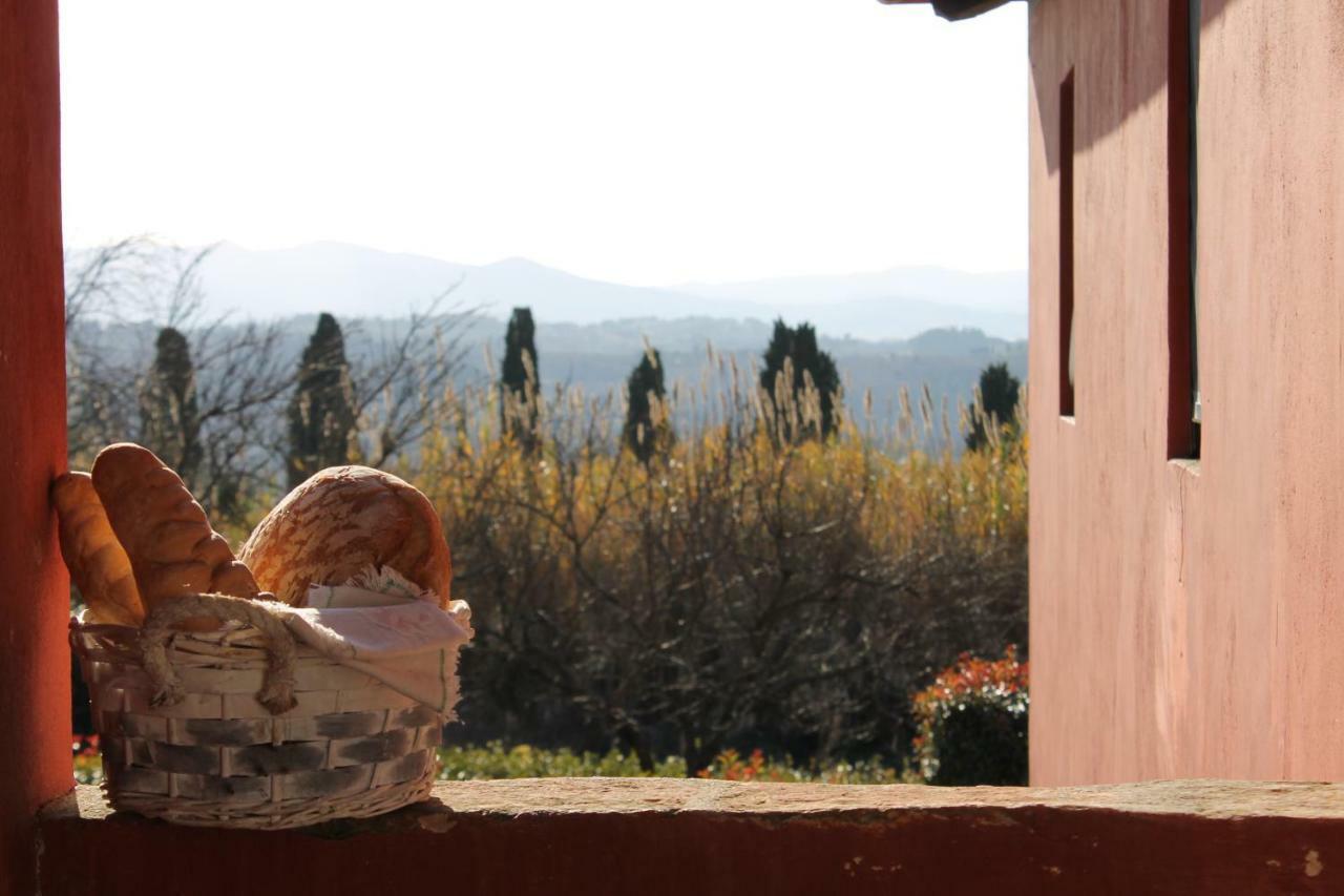 Tenuta Di Ghizzano Resort Zewnętrze zdjęcie